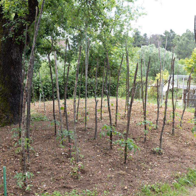 Green Garden - Apartman sa 2 Spavaće Sobe - 16