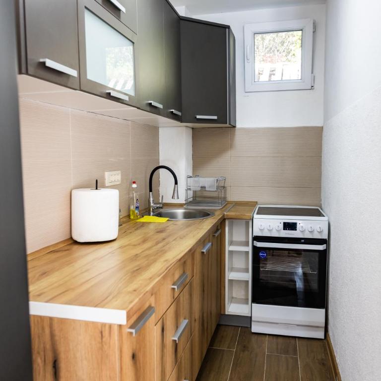 Green Garden - Apartman sa 1 Spavaćom Sobom - 17