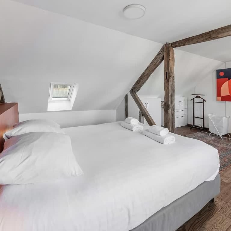 Thabor, beau duplex, 2 chambres - Apartamento de 2 dormitorios - 11