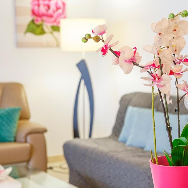 Le Camélia - Plage et Intra-muros - Parking - Apartment - 20