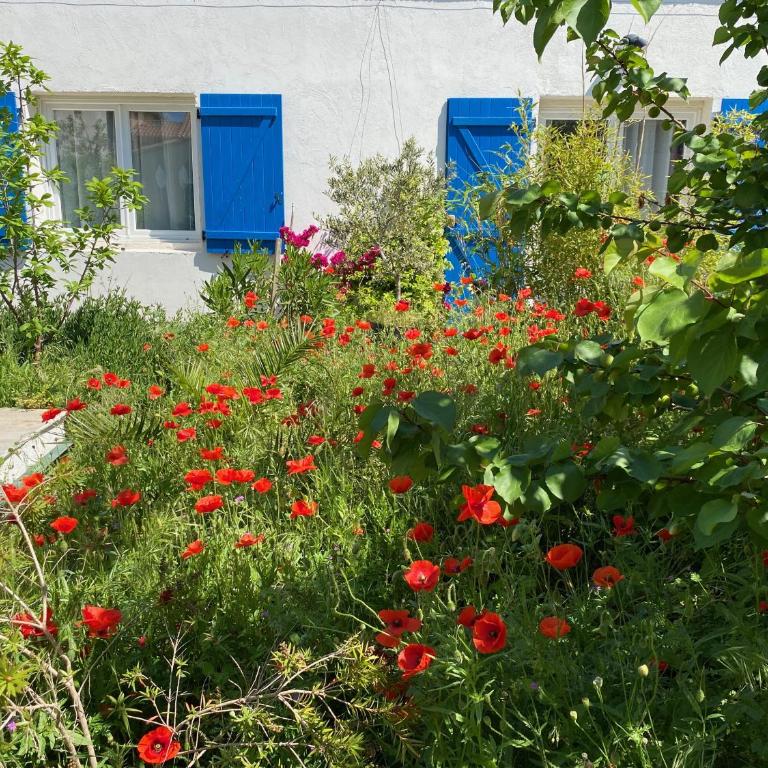Maisonnette de Jardin - Apartamento de 1 dormitorio - 15