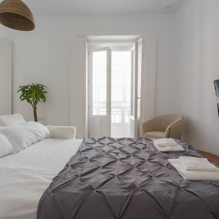 SH La Casa del Loro. Amplio apartamento. - Apartamento de 2 dormitorios - 11