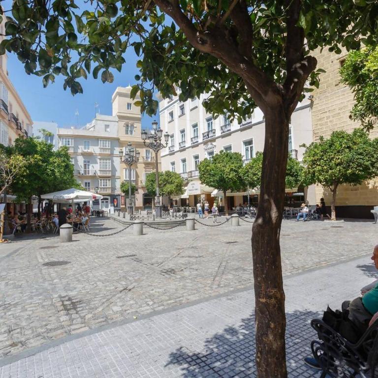 SH La Casa del Loro. Amplio apartamento. - Apartamento de 2 dormitorios - 27