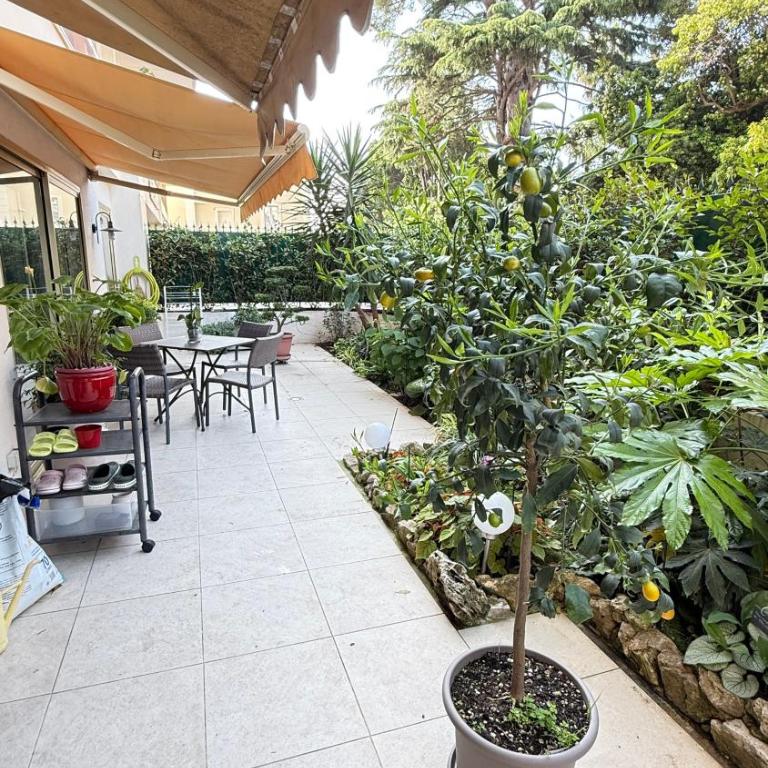 Studio basse californie cannes - Appartement 1 Chambre - 5