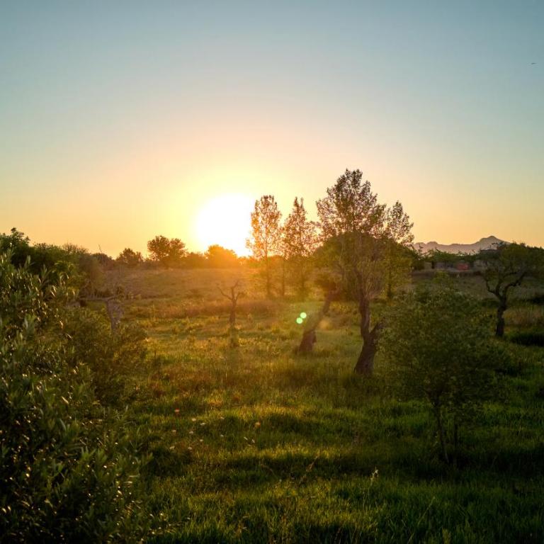 Finca Can Romani - Casa de 3 dormitorios - 11