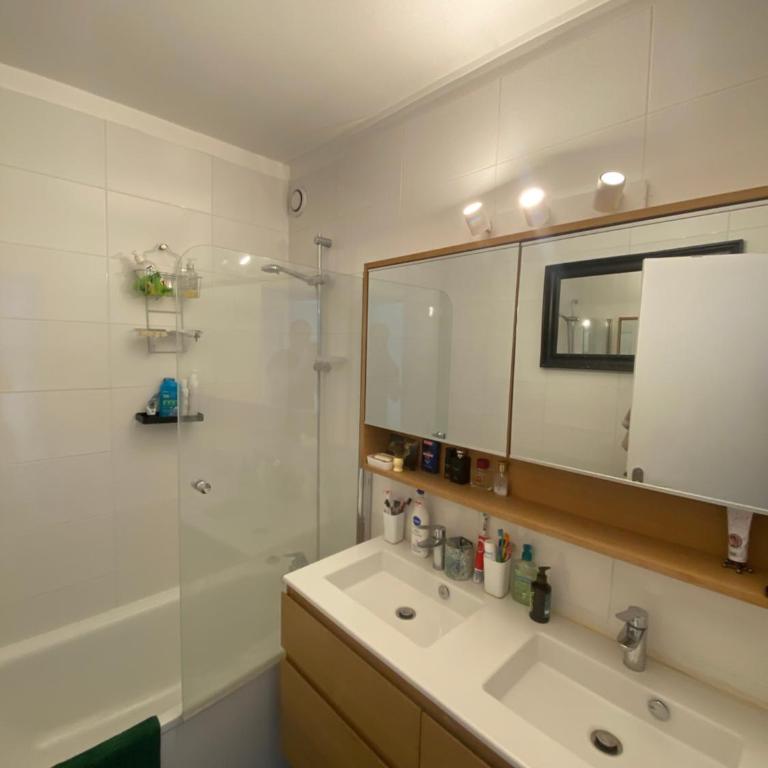 Spacious and Elegant 3 Bedrooms Apartment near Metro and Bois de Vincennes - Appartement 1 Chambre - 12
