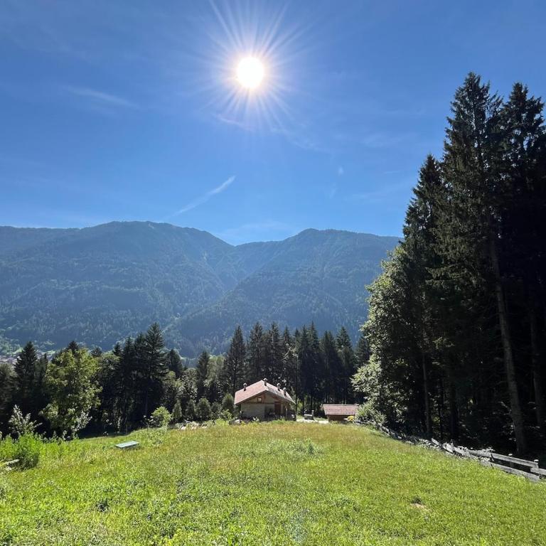 Mountain Chalet Splazoi - Chalet con 3 Camere da Letto - 6