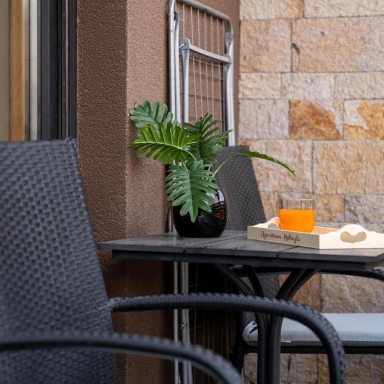 Apartman Mihajlo Kalman - Apartman s 1 Spavaćom Sobom i Terasom - 49