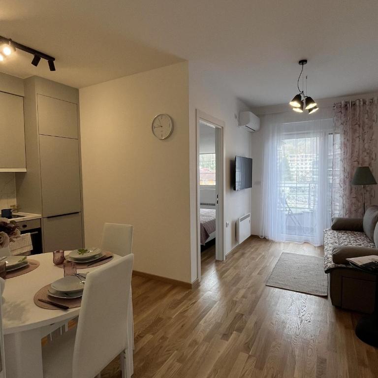 Slatina Točak - Apartman sa 1 Spavaćom Sobom - 1