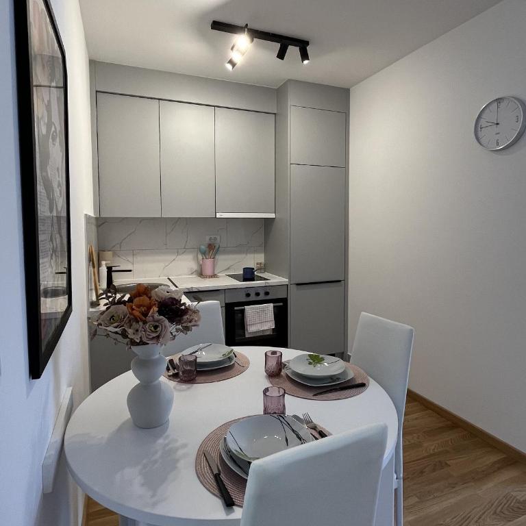 Slatina Točak - Apartman sa 1 Spavaćom Sobom - 2