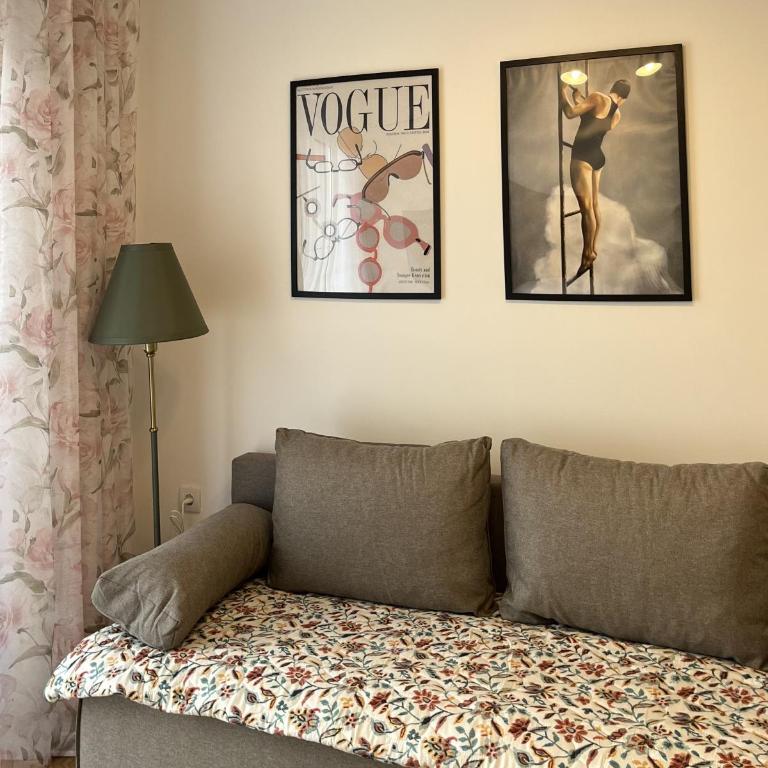 Slatina Točak - Apartman sa 1 Spavaćom Sobom - 9