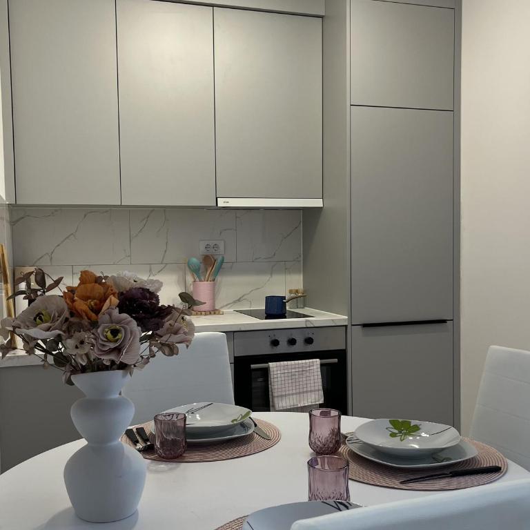 Slatina Točak - Apartman sa 1 Spavaćom Sobom - 15