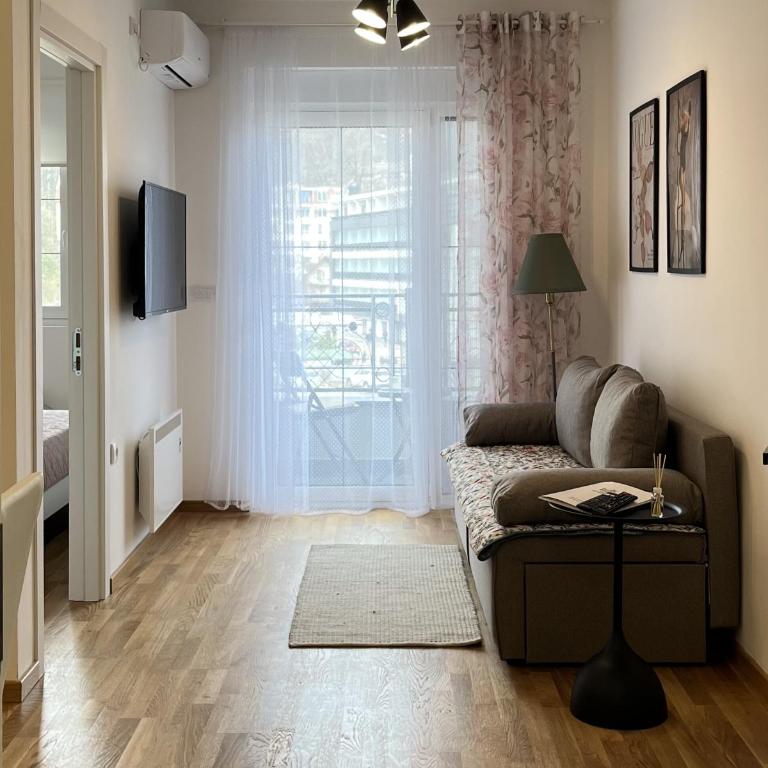 Slatina Točak - Apartman sa 1 Spavaćom Sobom - 22