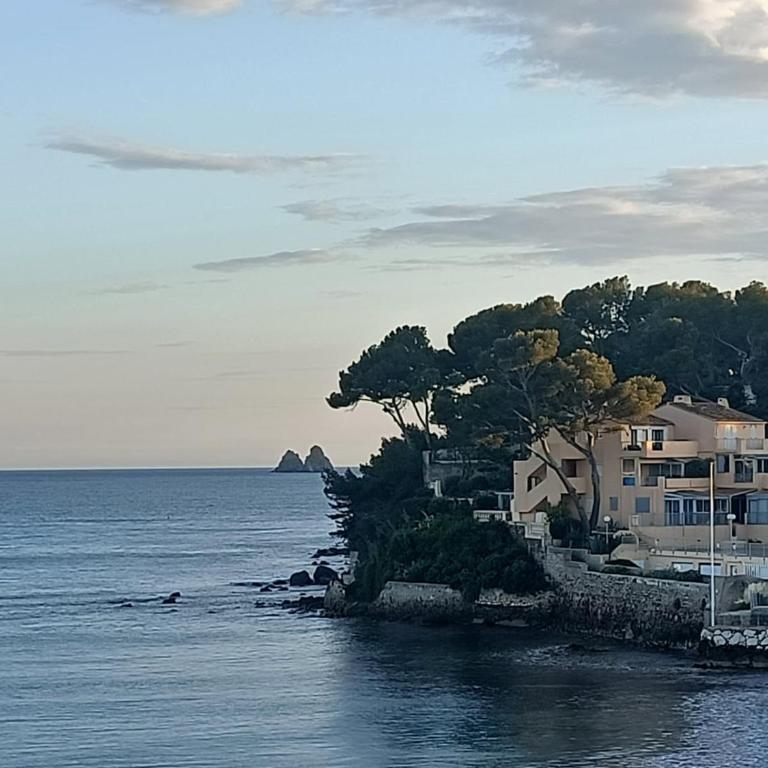Vue et emplacement d'exception à 20 m de la plage des Sablettes - Villa - Côté Plage - 4