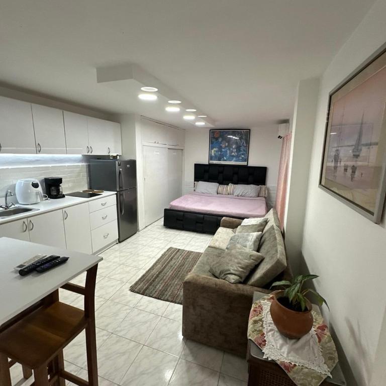 Estudio independiente, full equipo en excelente zona de Caracas - Loft - 25