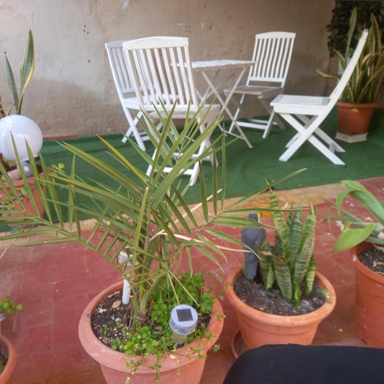 Clavelina Economy Room calle Julio Antonio - Economy Double Room - 2