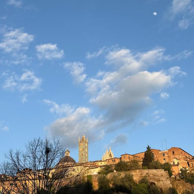 Casa con vista sul Duomo, 400 m da Piazza del Campo - Casa con 2 Camere da Letto - 19