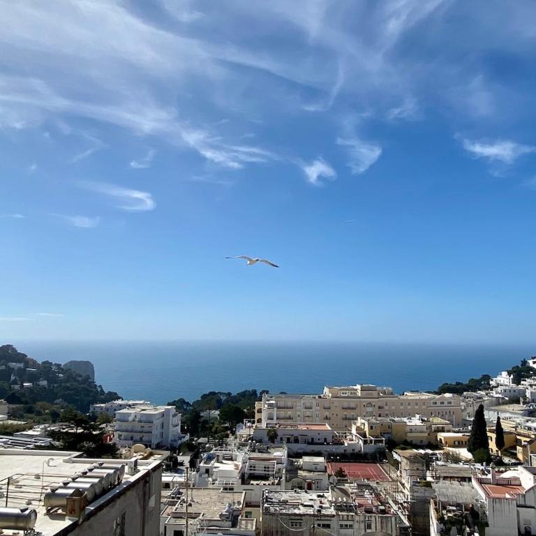 La Grande Perla 3 Bedroom Apartment - Three-Bedroom Apartment - 9