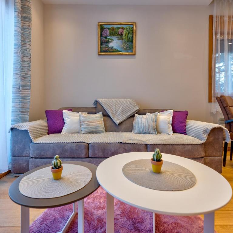 Apartment Mat 2 - One-Bedroom Apartment - 13