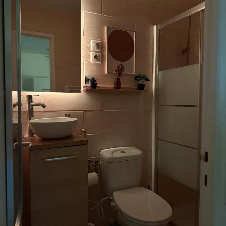 Studio 5 - Cinéma Sport Parking - DABNB - Appartement 1 Chambre - 15
