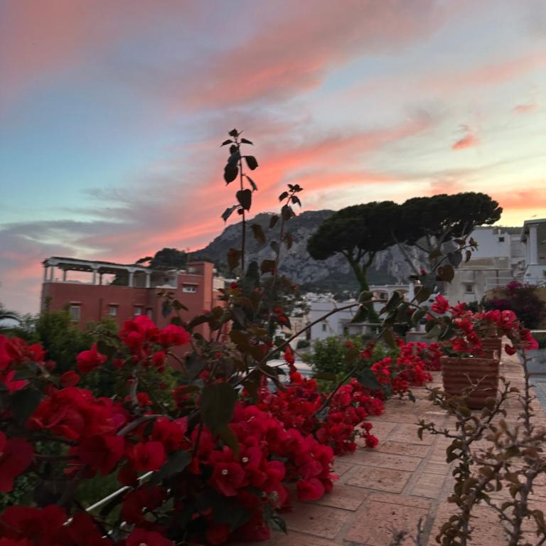 Capri Joy Apartments - Casa con 2 Camere da Letto - 41