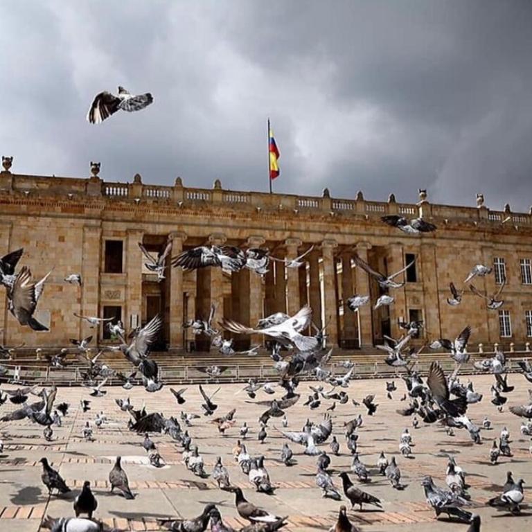 Family Loft completo dos camas grandes y sofá cama - Apartamento de 1 dormitorio - 19