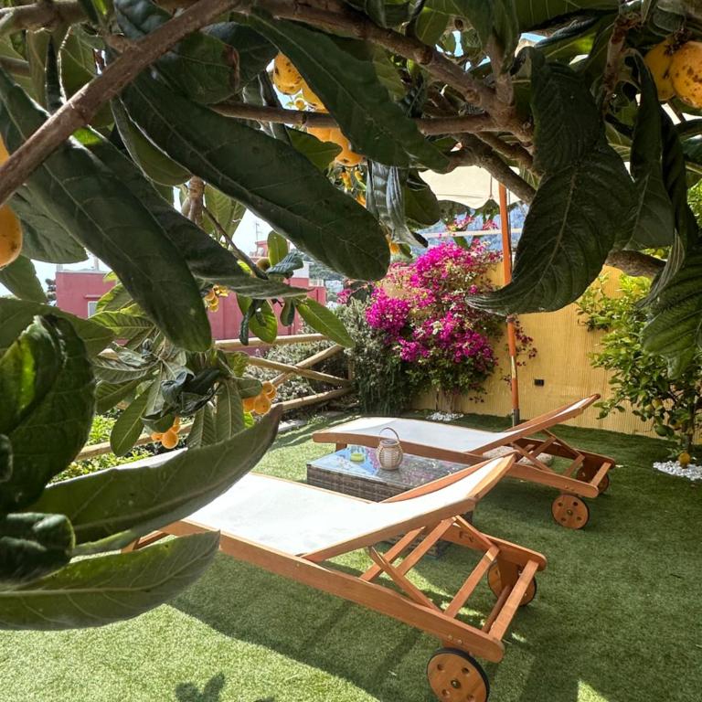 Capri Joy Apartments - Appartamento - 27