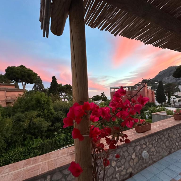 Capri Joy Apartments - Appartamento - 22