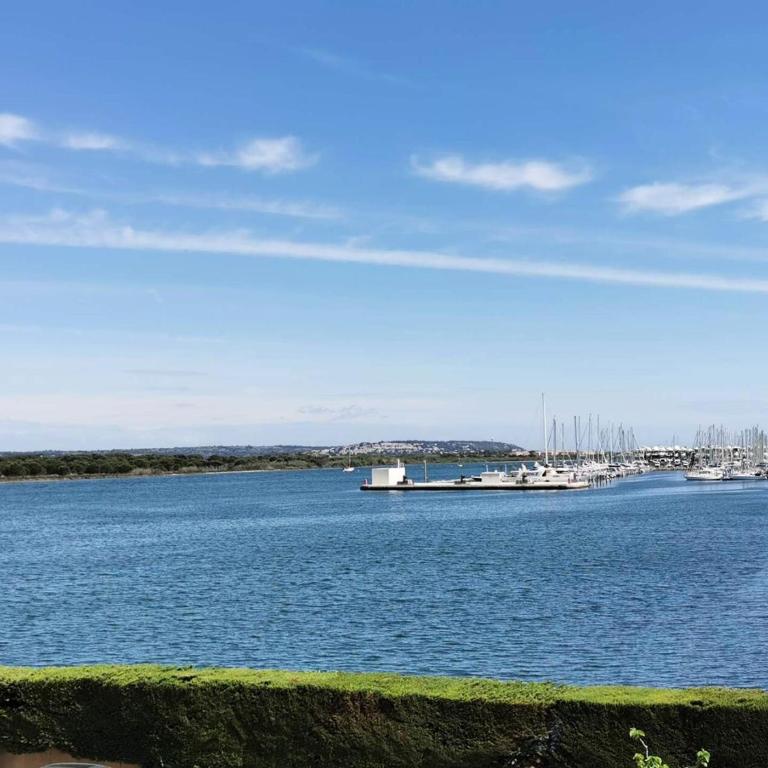 Résidence Terrasses De La Mediterranee 3 - APPT T2 4 couchages PORT LEUCATE MAE-7604 - Apartment - 1