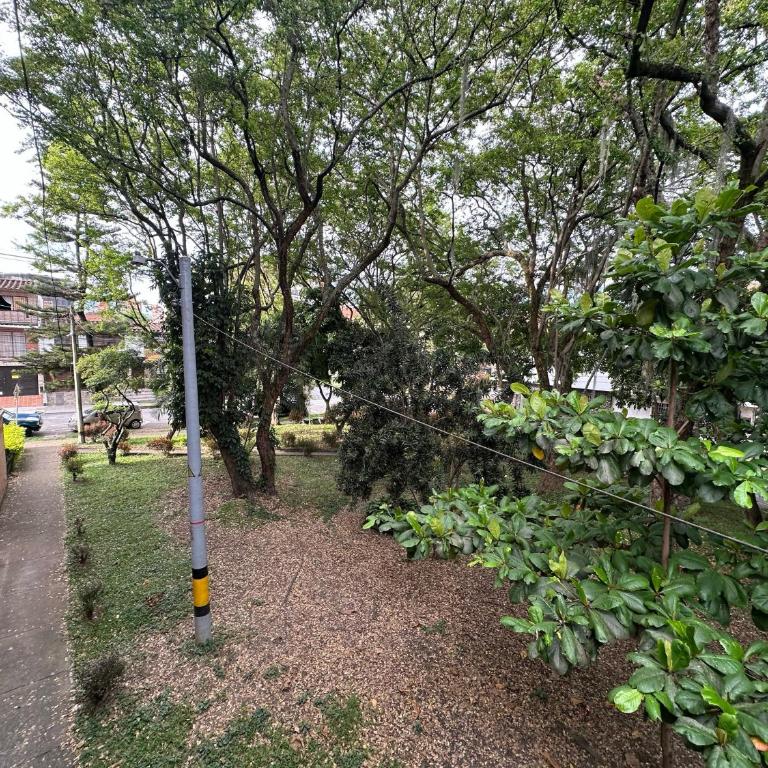 Verdum - Estudio - 5