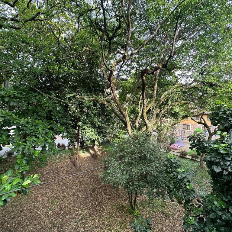 Verdum - Estudio - 16