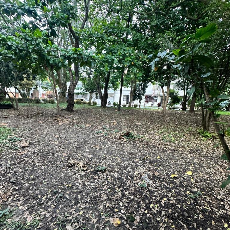 Verdum - Estudio - 56