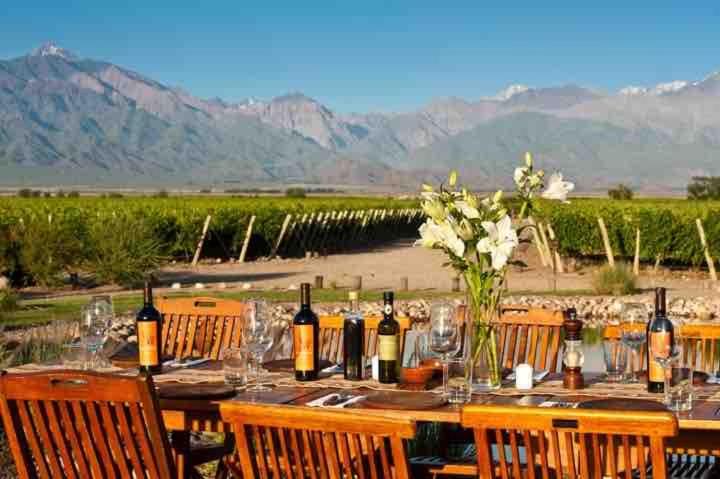 Apartamento moderno y espacioso a pasos de Arístides - Apartamento de 2 dormitorios con terraza - 18