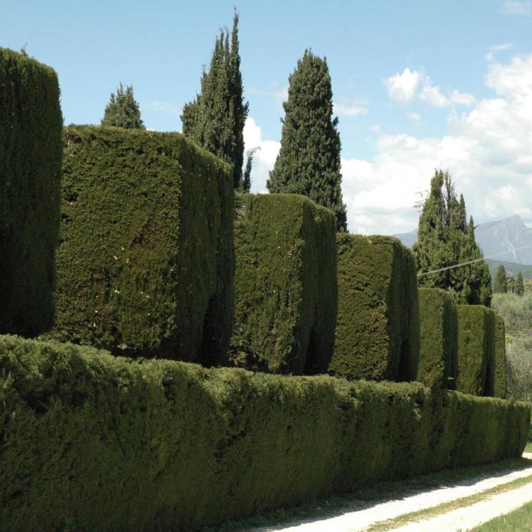 Agriturismo Tenuta la Pergola - Camera King Deluxe - 2
