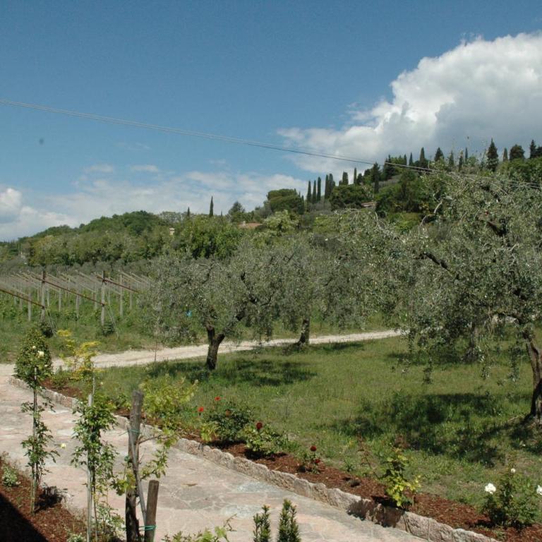 Agriturismo Tenuta la Pergola - Camera King Deluxe - 13