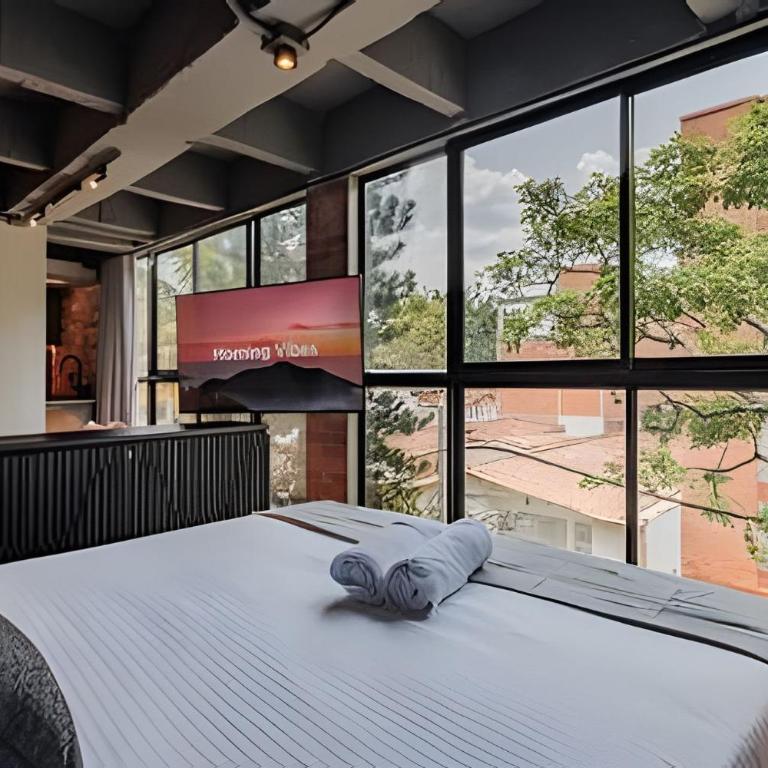 Azario - Apartamento de 1 dormitorio - 15