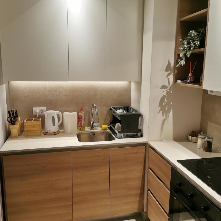 Verde-Belgrade Waterfront-Apartmans - Apartman sa 1 Spavaćom Sobom - 9