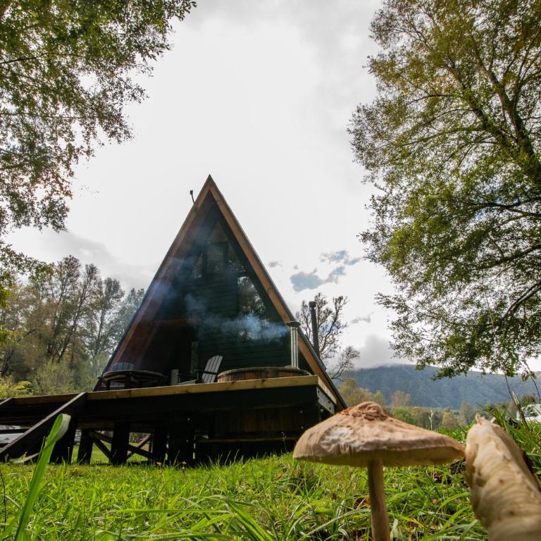 Alto Terralis - One-Bedroom House - 28