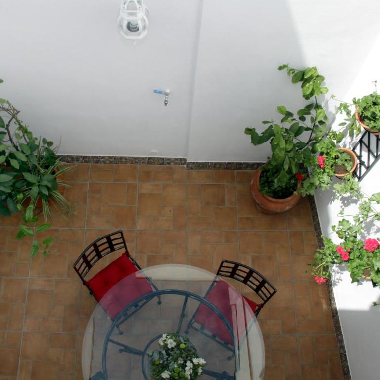 Apartamentos San Fernando 76 - Apartamento de 1 dormitorio con patio - 18