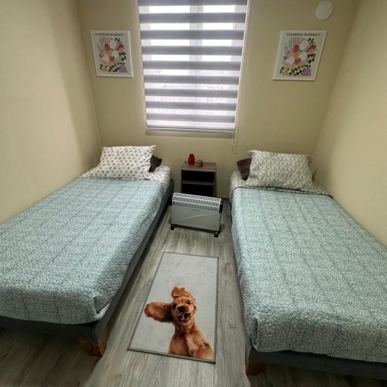 Hermoso departamento 2D 1B, Los Ángeles - Apartamento de 2 dormitorios - 17
