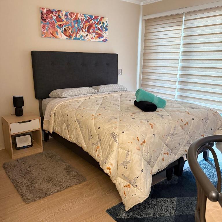 Departamento estudio en el centro de Temuco - Apartamento de 1 dormitorio - 1