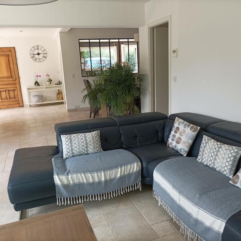 Villa 12 p entre Nice et Cannes piscine clim - Villa - 30