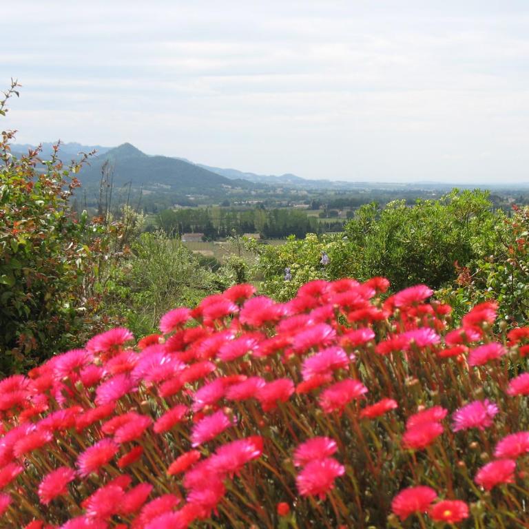 B&B La Cigaline - Chambre Double - Vue sur Jardin - 3