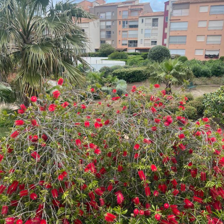 Résidence Le Pharo - Estudio con vistas al mar - 29