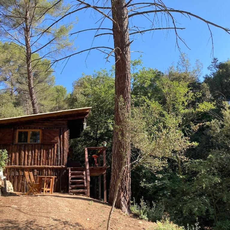 Le Cabanon d 'Aix - One-Bedroom Chalet - 1