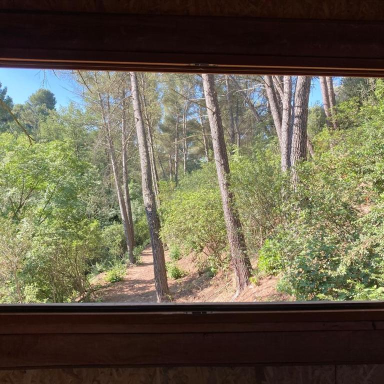 Le Cabanon d 'Aix - One-Bedroom Chalet - 15