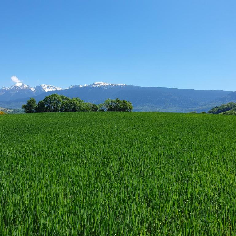 L'Aparté Nature, entre campagne et montagne - Appartement 2 Chambres - 41