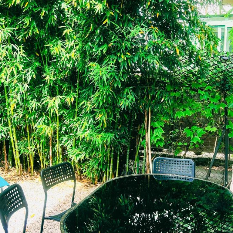 Charming Apartment Downtown - Private Garden & AC - Near Train Station & Airport - One-Bedroom Apartment - 22