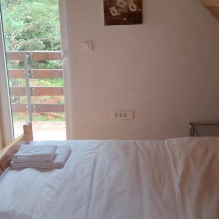 Wild Peace - Five-Bedroom House - 8