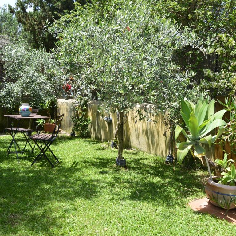 Villa 'Antico Baglio' - Scopello - Castellammare Del Golfo - One-Bedroom Villa - 29